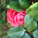 해남군-13 이미지