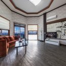 애견풀하우스 이미지