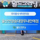 월드크리닝언양 이미지