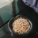 야밤또주 - 남양주시 | 야밤또주