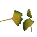 동로작은도서관 이미지