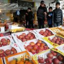 안의청과 이미지