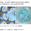 (주)포비 이미지