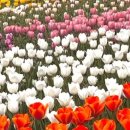 아기곰푸드 이미지