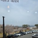 당진 삽교호 감성 카페 카페보니또 후기 뷰도 맛도 완벽했던 곳
