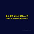 핏에스나인 이미지