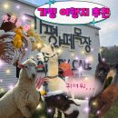웃양지기목장 | 가평 가볼만한 곳 가평 양떼목장 아이랑 가기 좋은 여행지 추천