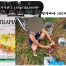 적폐는 법망을 피할 수 없다.(7/31 코로나 리포트)