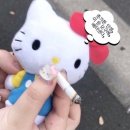 (주)엄지세상 이미지