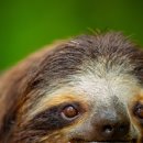 gc-camera-040 이미지