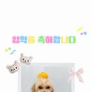 개린이세상 이미지