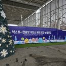 엑스포시민광장 | 대전 엑스포시민광장 스케이트장 후기