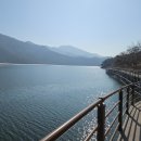 서천둔치 화장실 Daum카페