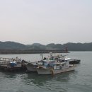 수산1번지 이미지