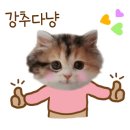 엄마손왕만두
