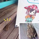 샵두꺼비 이미지