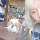 칸나화장실 네이버블로그