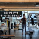 짐네스티 이미지