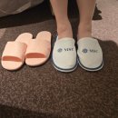 MSC 월드유로파 아우레아 스위트 여유로운 마지막 하선까지 완벽했던 신혼여행 크루즈