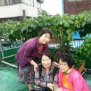 미용실언니 이미지