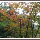 장산억새밭 이미지