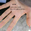 인사불성 Daum카페
