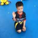 용인대 수 합기도 이미지