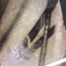 응암동 110-10 | 응암역 미용실 요디헤어 추천 모발클리닉 헤드스파 후기