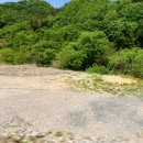 감산리 사무소 이미지