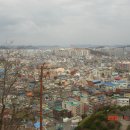 목포막회