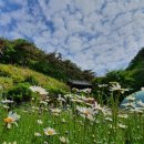 동화어린이집 이미지