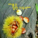 가을공인중개사사무소 이미지