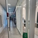 고운손길 | 루원 강아지 미용 고운손길 내돈내산 후기