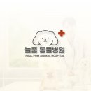 디자인늘품