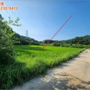여주-1085 네이버블로그