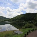 쑥부쟁이(용산저수지)둘레길 이미지