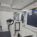 댕댕워시 이미지