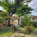 토평초등학교 이미지