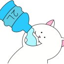 노스티모 이미지