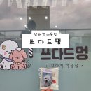 쓰다드멍 | [의정부 반려견미용실] 쓰다드멍 후기 (애견미용 의정부애견미용 민락동애견미용 의정부애견미용잘하는...