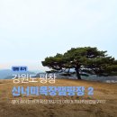 밤별캠핑장 | 평창 산너미목장 캠핑장 후기 I 별이 쏟아진 밤과 육십마지기의 아침(ft 아사도, 미나리삼겹살 구이)