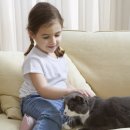 21세기동물병원 이미지