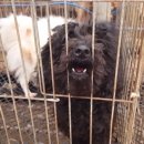 기대농장 이미지