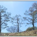 (유)정에너지 이미지