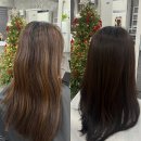 블랙헤어 | 성신여대미용실 하룸헤어 페이크블랙 후기｜탈색 없이 자연스러운 톤다운