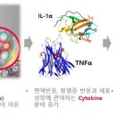 소노케어 이미지