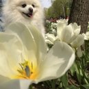 서울숲1 이미지