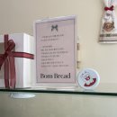 청주 율량동 빵지순례 봄브레드 내돈내산 후기[ver.2025.05.](케이크/포카치아/옥슈슈/짭짤이감자빵...
