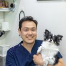 상도힐링동물병원 이미지