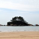 소분점도 Daum카페
